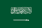 2ndcat-5thcard-flag